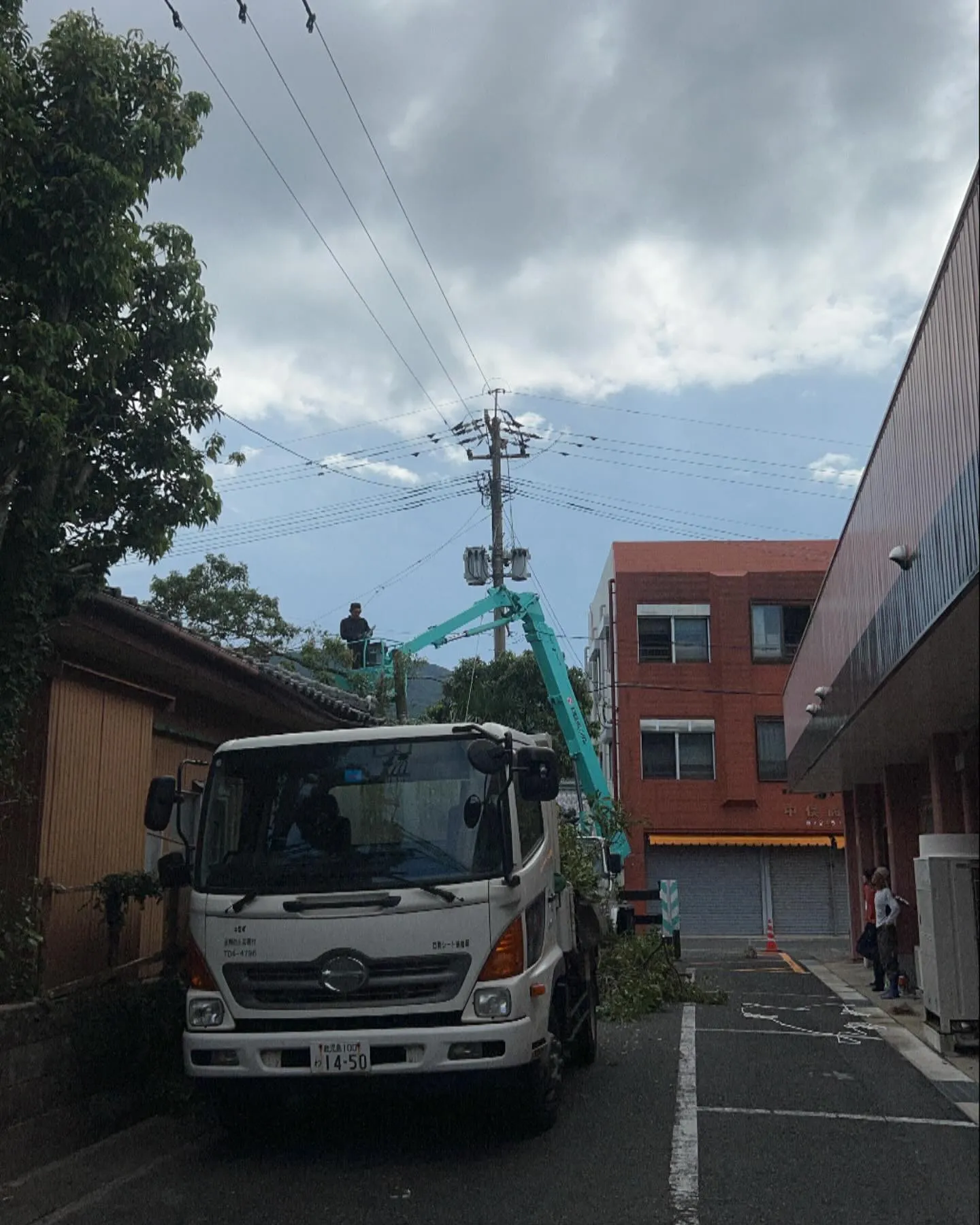 🌲 鹿児島での伐採作業はお任せください！🌳私たちは地元の自然...